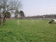 obrázek cvičáku agility v Troji