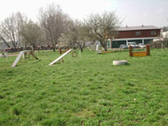 obrázek cvičáku agility v Troji