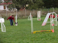 obrázek cvičáku agility v Troji